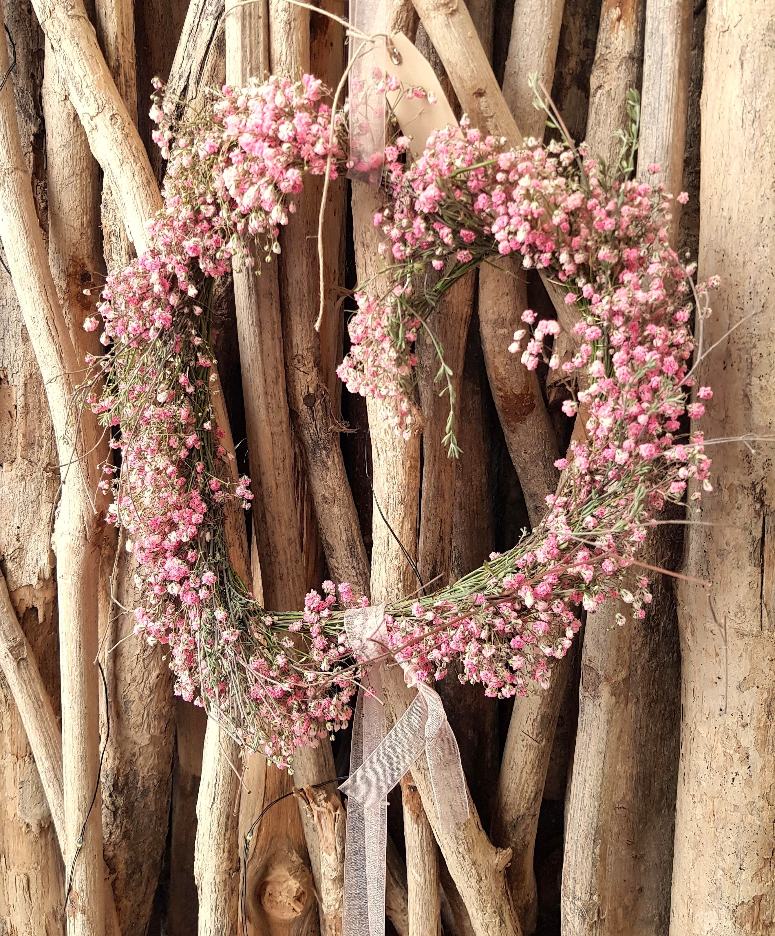 Frühling in der Adenium Floristik!.jpg